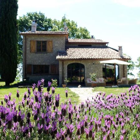 Agriturismo Sanventura Città di Castello Exterior foto